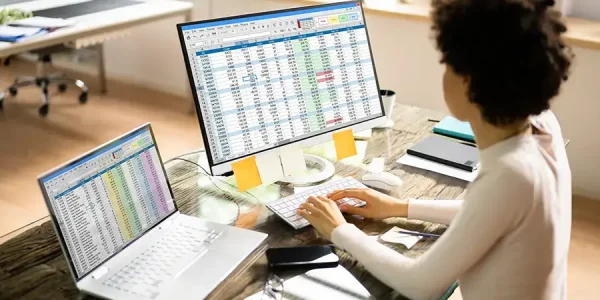 American Spreadsheet Data Analyst